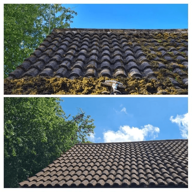 Roof Cleaning Before and After